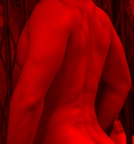 NAKED NIGHT