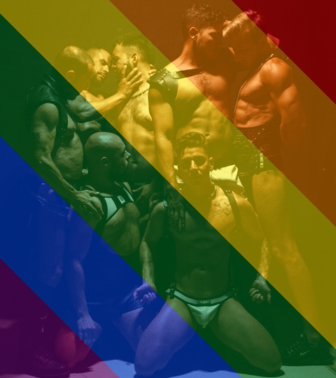 ERECTUM PRIDE EDITION