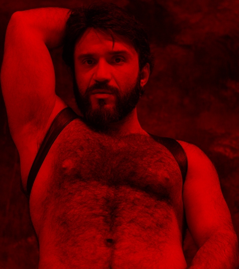 BEAR PARTY LEATHER EDITION